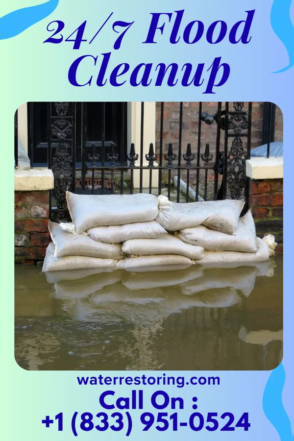 24/7 Flood Cleanup in Alberta, MN