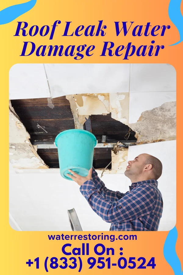Roof Leak Water Damage Repair in Alberta, MN