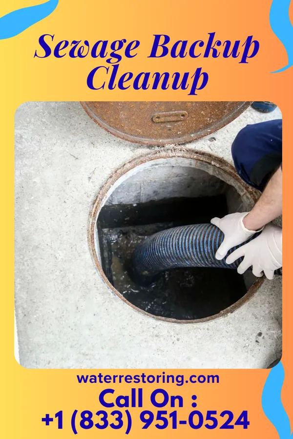 Sewage Backup Cleanup in Alberta, MN